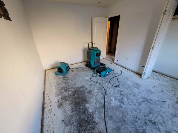 Best Flooded house restoration  in Oroville East, CA