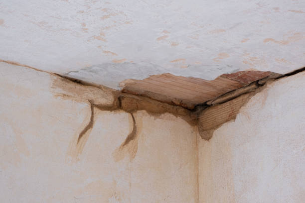 Best Basement water damage restoration  in Oroville East, CA