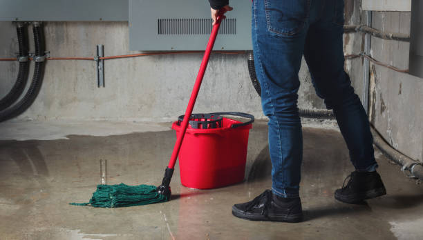 Best Water damage restoration company  in Oroville East, CA