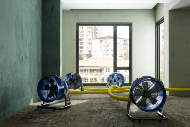 Best Water damage restoration near me  in Oroville East, CA