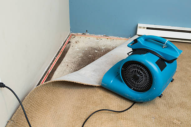 Best Water damage restoration insurance claims  in Oroville East, CA